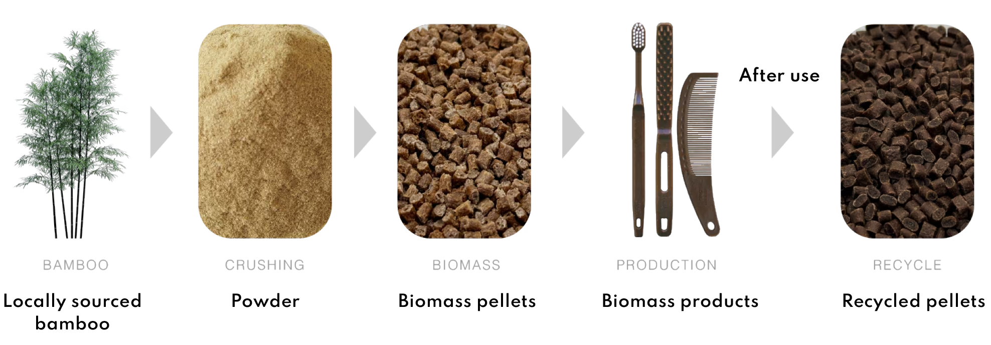 The flow of biomass production using Japanese bamboo