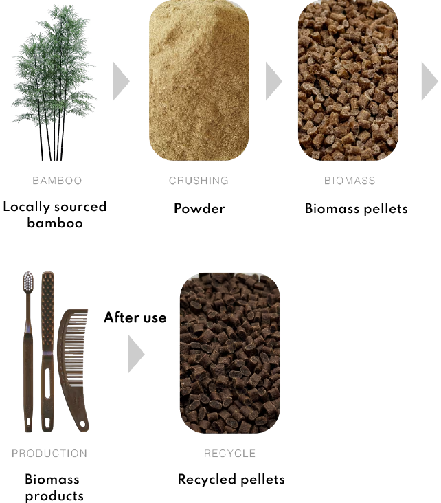 The flow of biomass production using Japanese bamboo